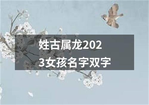 姓古属龙2023女孩名字双字