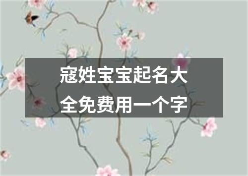 寇姓宝宝起名大全免费用一个字