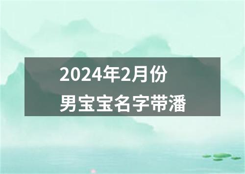 2024年2月份男宝宝名字带潘