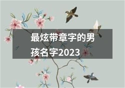 最炫带章字的男孩名字2023