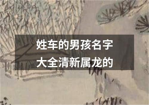 姓车的男孩名字大全清新属龙的