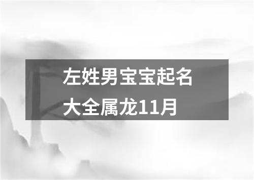 左姓男宝宝起名大全属龙11月