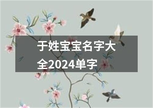 于姓宝宝名字大全2024单字