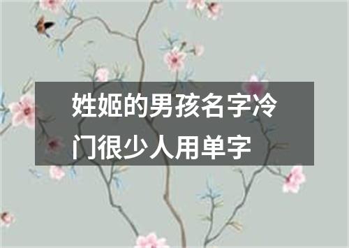 姓姬的男孩名字冷门很少人用单字