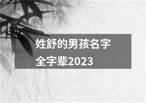 姓舒的男孩名字全字辈2023