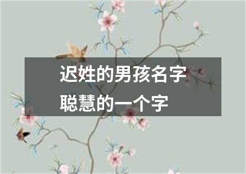 迟姓的男孩名字聪慧的一个字