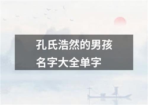 孔氏浩然的男孩名字大全单字