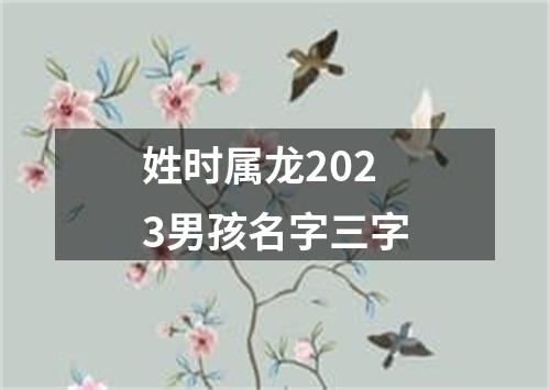 姓时属龙2023男孩名字三字