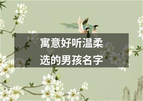 寓意好听温柔选的男孩名字