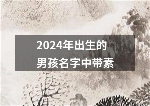 2024年出生的男孩名字中带素