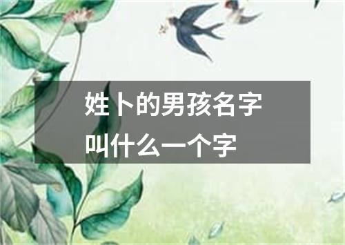 姓卜的男孩名字叫什么一个字