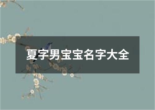 夏字男宝宝名字大全