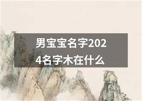 男宝宝名字2024名字木在什么