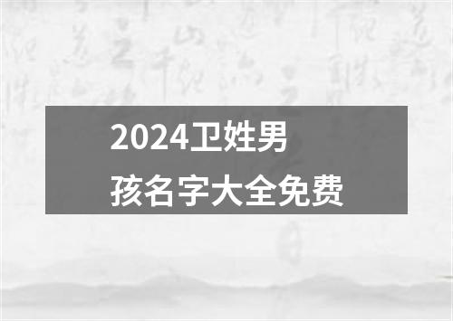 2024卫姓男孩名字大全免费