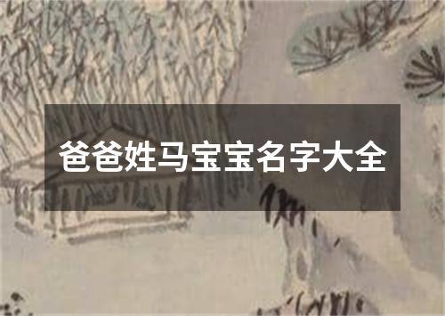 爸爸姓马宝宝名字大全