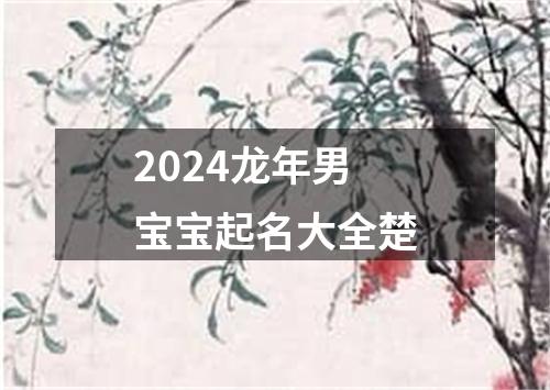 2024龙年男宝宝起名大全楚