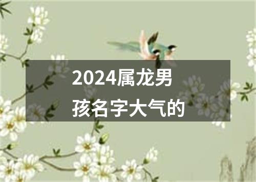 2024属龙男孩名字大气的