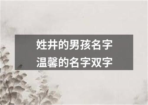 姓井的男孩名字温馨的名字双字