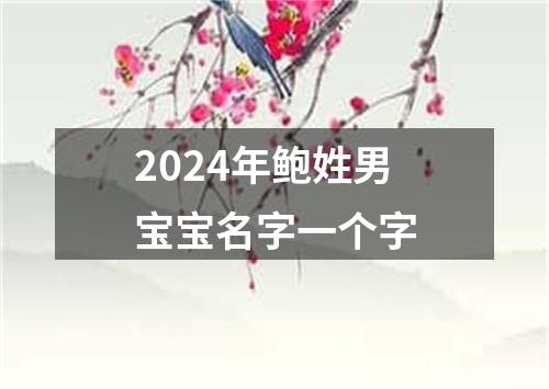 2024年鲍姓男宝宝名字一个字