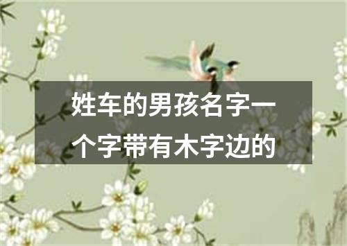 姓车的男孩名字一个字带有木字边的