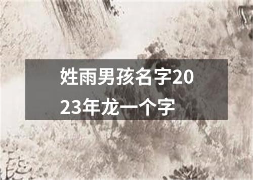 姓雨男孩名字2023年龙一个字