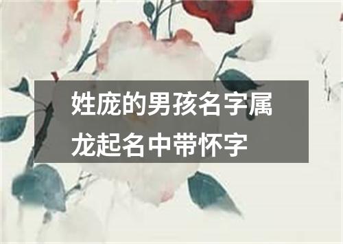 姓庞的男孩名字属龙起名中带怀字