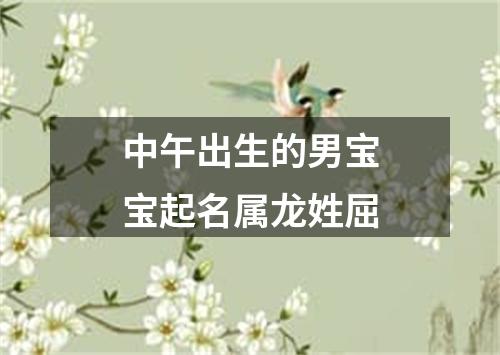 中午出生的男宝宝起名属龙姓屈