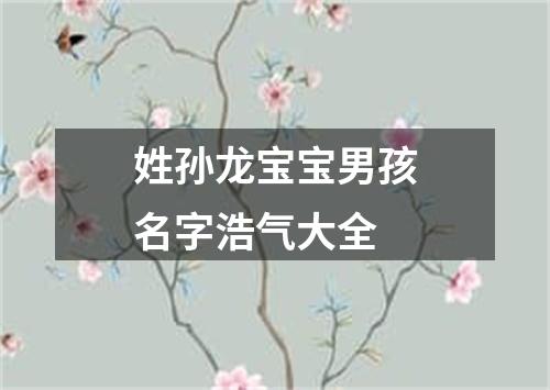 姓孙龙宝宝男孩名字浩气大全