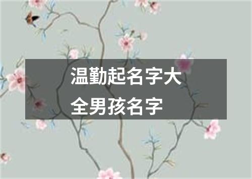 温勤起名字大全男孩名字