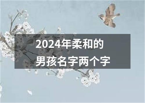 2024年柔和的男孩名字两个字