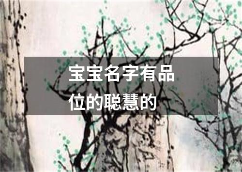 宝宝名字有品位的聪慧的