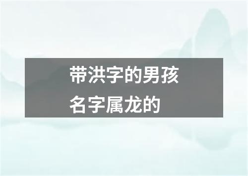 带洪字的男孩名字属龙的