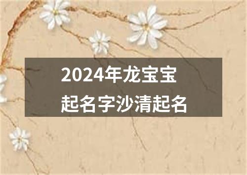 2024年龙宝宝起名字沙清起名