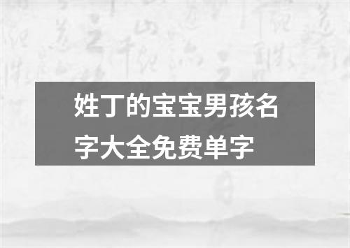 姓丁的宝宝男孩名字大全免费单字