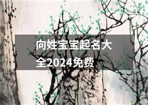 向姓宝宝起名大全2024免费