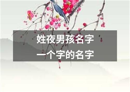 姓夜男孩名字一个字的名字