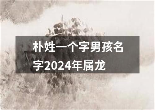 朴姓一个字男孩名字2024年属龙