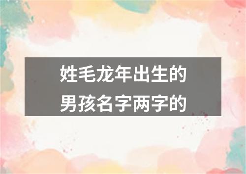 姓毛龙年出生的男孩名字两字的