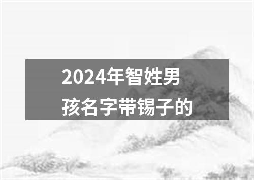 2024年智姓男孩名字带锡子的