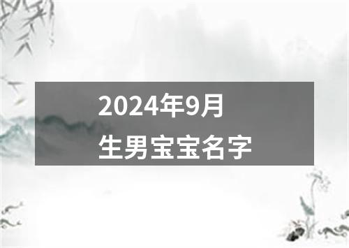 2024年9月生男宝宝名字