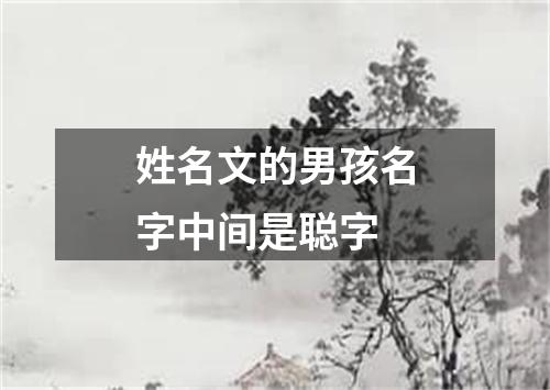 姓名文的男孩名字中间是聪字