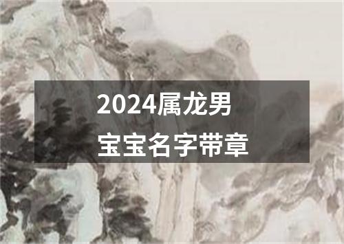 2024属龙男宝宝名字带章