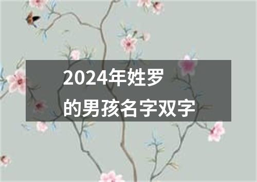 2024年姓罗的男孩名字双字