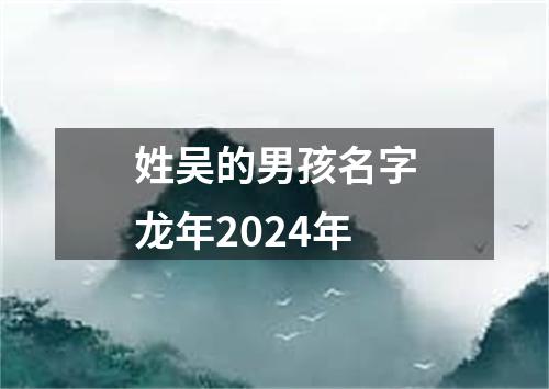 姓吴的男孩名字龙年2024年