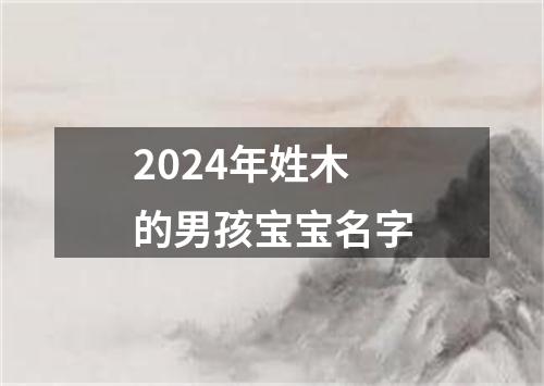 2024年姓木的男孩宝宝名字