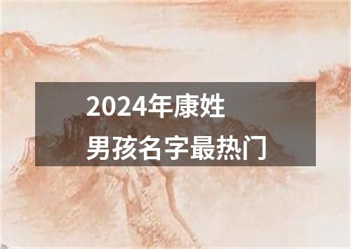 2024年康姓男孩名字最热门