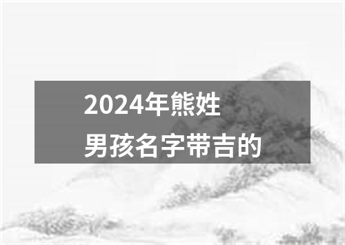 2024年熊姓男孩名字带吉的