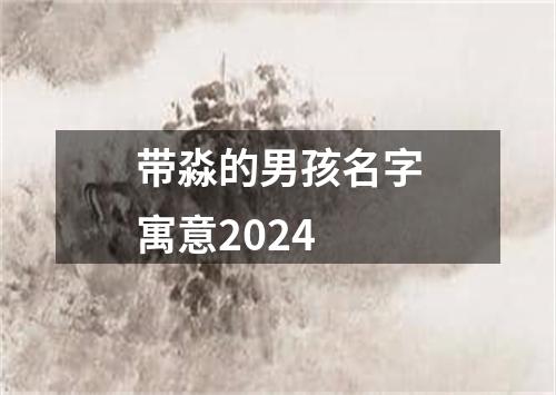 带淼的男孩名字寓意2024