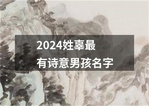 2024姓辜最有诗意男孩名字