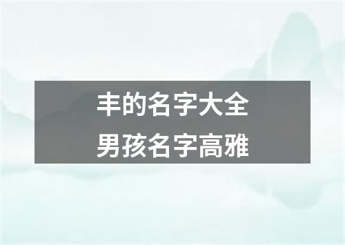 丰的名字大全男孩名字高雅